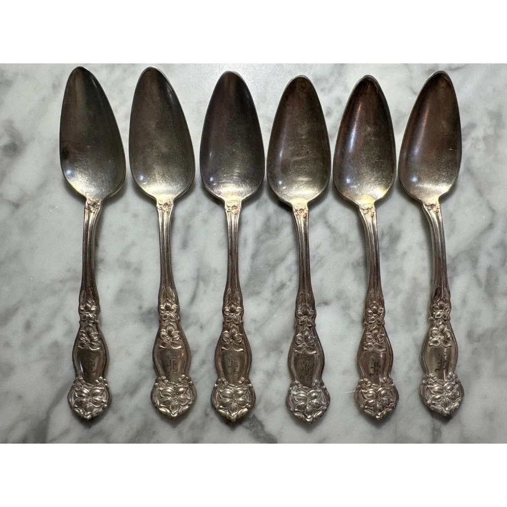 6 Wm Rogers & Son Orange Blossom Silverplate Fruit Spoons 1910 Floral Antique